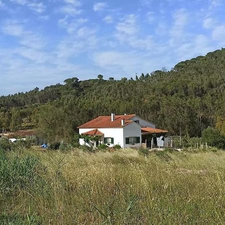 Al- Quinta Dos Carvalhais Rio Maior Exteriér fotografie