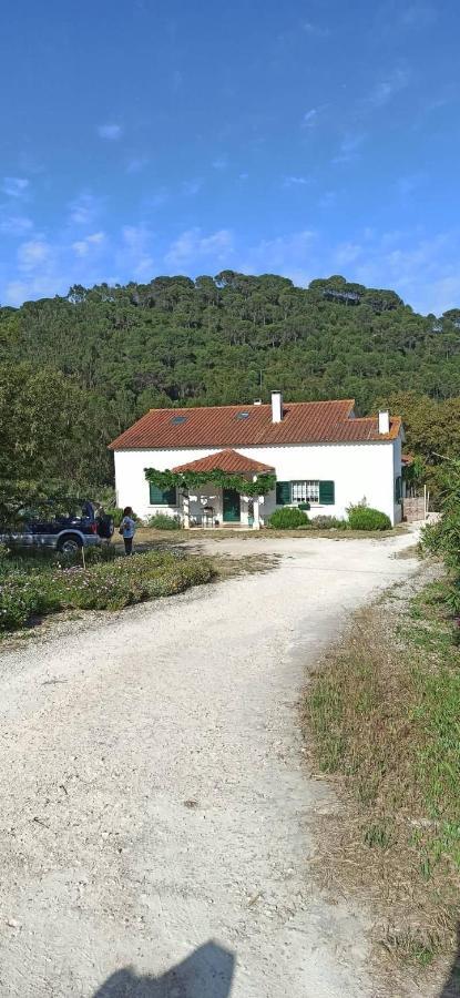Al- Quinta Dos Carvalhais Rio Maior Exteriér fotografie